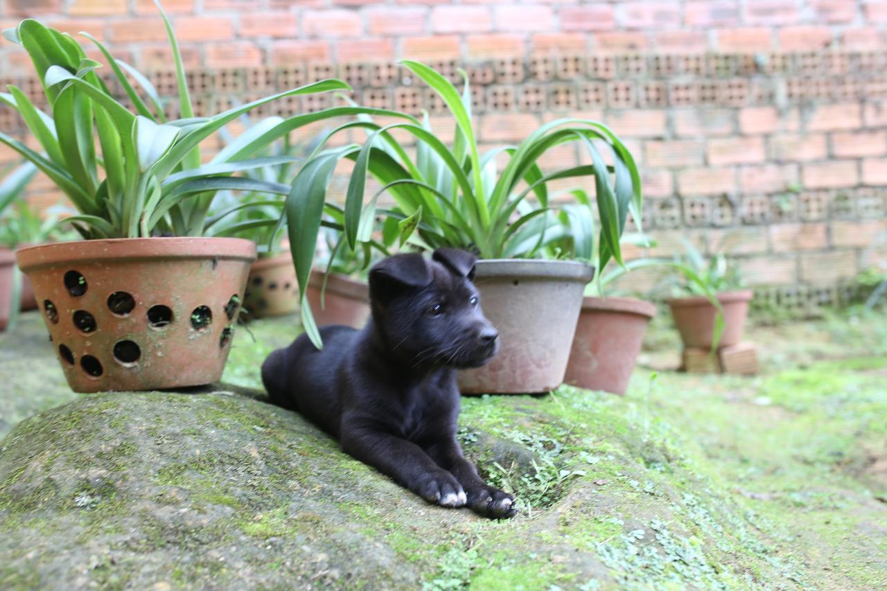 Tina Family Hotel Da Lat Kültér fotó