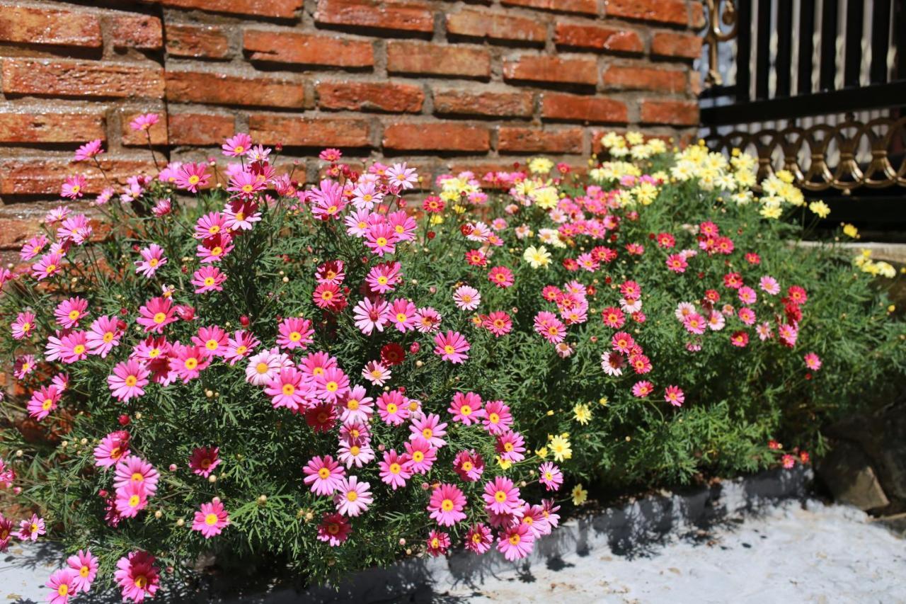 Tina Family Hotel Da Lat Kültér fotó